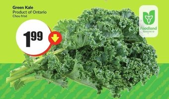 FreshCo Green Kale offer