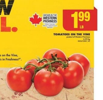No Frills TOMATOES ON THE VINE offer