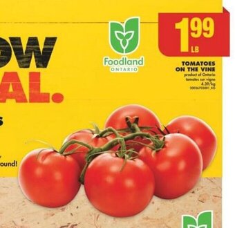 No Frills TOMATOES ON THE VINE offer