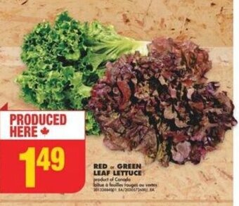 No Frills RED or GREEN LEAF LETTUCE offer