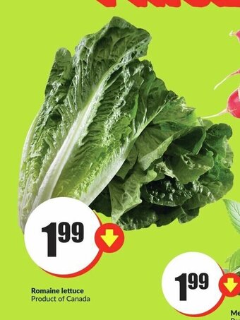 FreshCo Romaine lettuce offer