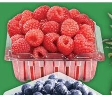 Food Basics RASPBERRIES offer