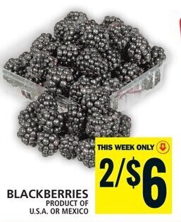 Food Basics BLACKBERRIES offer