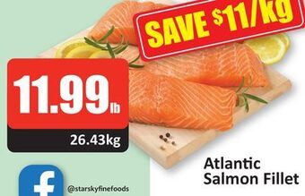 Starsky Atlantic salmon fillet offer