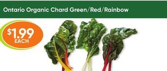 Healthy Planet Ontario organic lettuce green/red/romaine offer