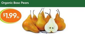 Healthy Planet Organic bosc pears offer