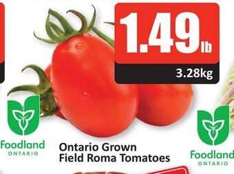 Starsky Ontario grown field roma tomatoes offer