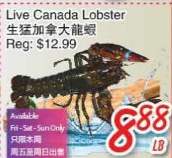 Foody Mart Live canada lobster offer