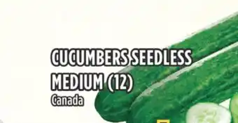 Marché Adonis Cucumbers seedless medium (12)   offer