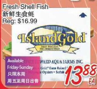 Foody Mart Fresh shell fish offer