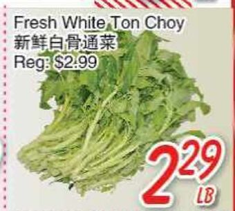 Foody Mart Fresh white ton choy offer