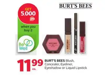 Rexall Burt's bees blush, concealer, eyeliner, eyeshadow or liquid lipstick offer