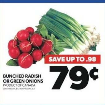 Real Canadian Superstore BUNCHED RADISH OR GREEN ONIONS offer