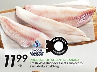 Sobeys Fresh Wild Haddock Fillets offer