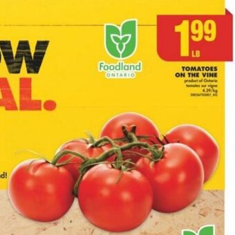 No Frills TOMATOES ON THE VINE offer