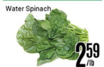 Nations Fresh Foods Water spinach offer