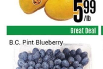 Nations Fresh Foods B.c. pint blueberry offer