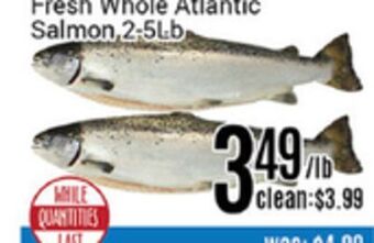Nations Fresh Foods Fresh whole atlantic salmon offer