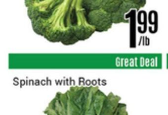 Nations Fresh Foods Spinach with roots offer