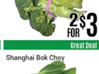 Nations Fresh Foods Shanghai bok choy offer