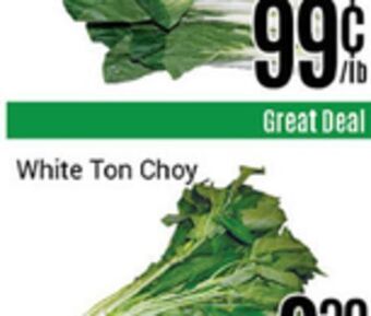 Nations Fresh Foods White ton choy offer
