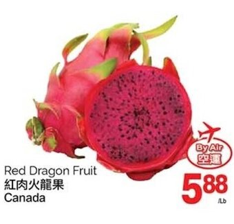 T&T Supermarket Red Dragon Fruit offer