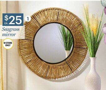 Giant Tiger Seagrass mirror offer