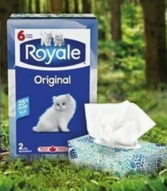 Giant Tiger Royale Original facial tissue offer