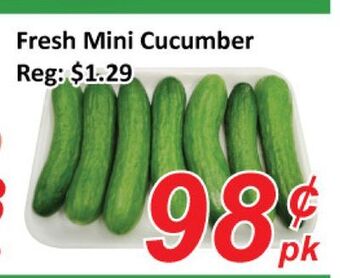 Seasons Foodmart Fresh mini cucumber offer