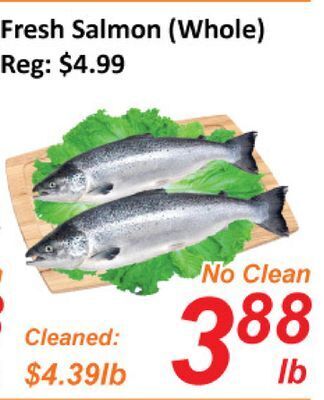 Seasons Foodmart Fresh salmon (whole) offer