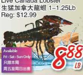 Foody Mart Live canada lobster offer
