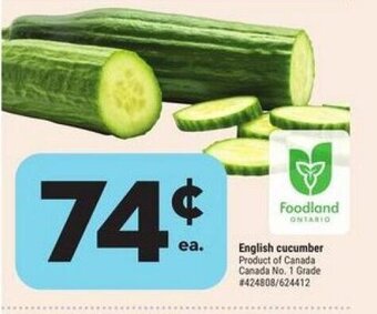 Giant Tiger English cucumber offer