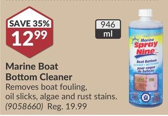 Princess Auto Marine boat bottom cleaner offer