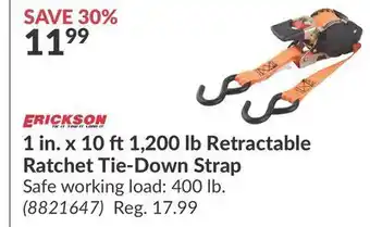 Princess Auto 1 in. 10 1, 200 lb retractable ratchet tie-down strap offer