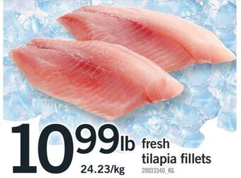 Fortinos Fresh tilapia fillets offer