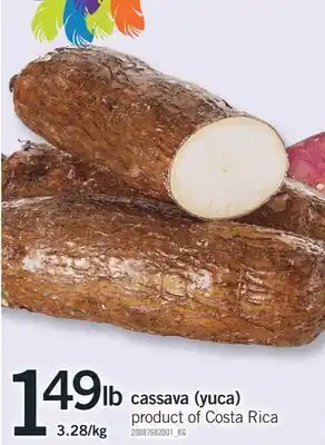 Fortinos Cassava (yuca) offer