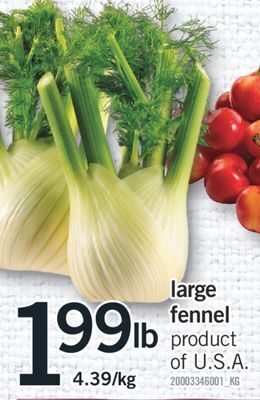 Fortinos Large fennel offer