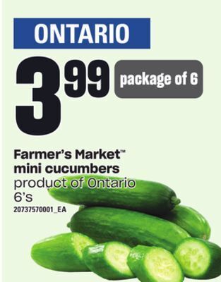 Independent Grocer Farmer's market™ mini cucumbers, 6's offer