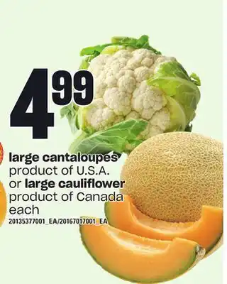 Independent Grocer Large cantaloupes or large cauliflower offer