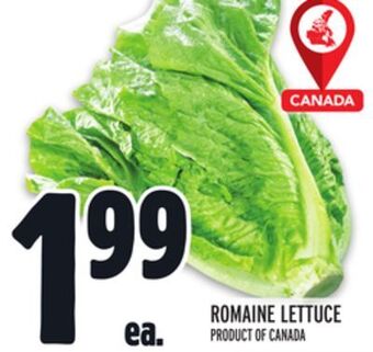 Metro Romaine lettuce offer