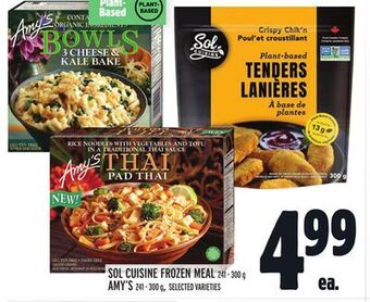 Metro Sol cuisine frozen meal offer