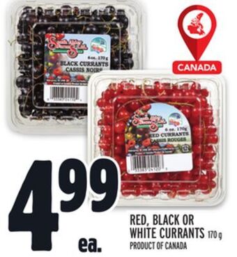Metro Red, black or white currants offer