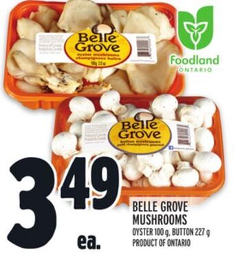 Metro Belle grove mushrooms offer