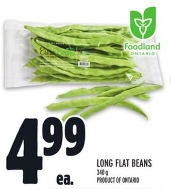 Metro Long flat beans offer