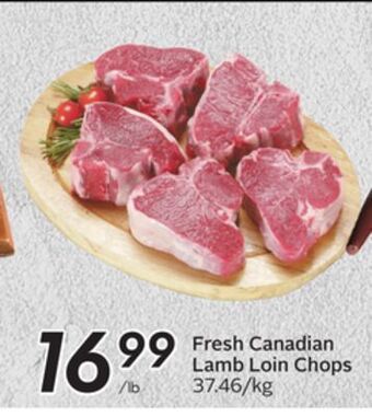 Sobeys Fresh canadian lamb loin chops offer