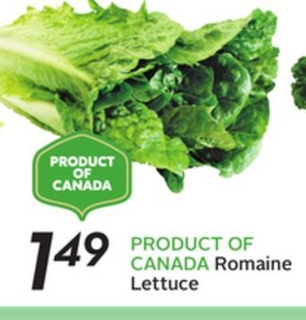 Sobeys Romaine lettuce offer