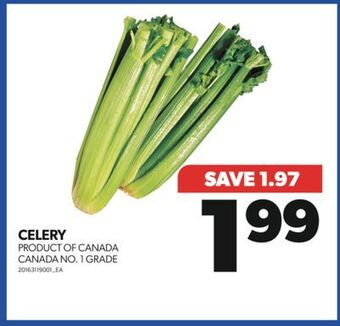 Real Canadian Superstore Celery offer