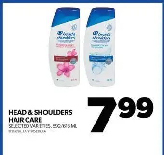 Real Canadian Superstore Head & shoulders hair care, 592/613 ml offer