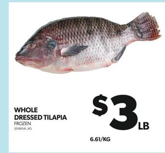 Real Canadian Superstore Whole dressed tilapia offer