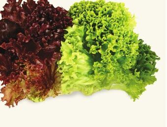 Longo's Fresh green or red leaf lettuce offer